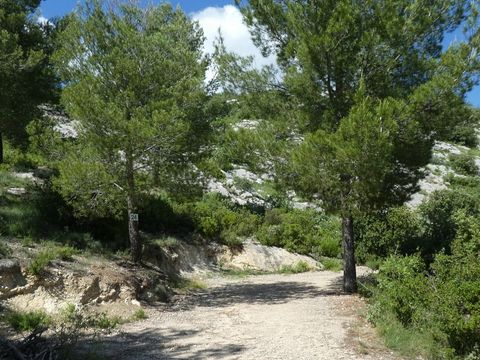 Camping de Puyloubier-Aquadis Loisirs - Camping Bouches-du-Rhone - Image N°15