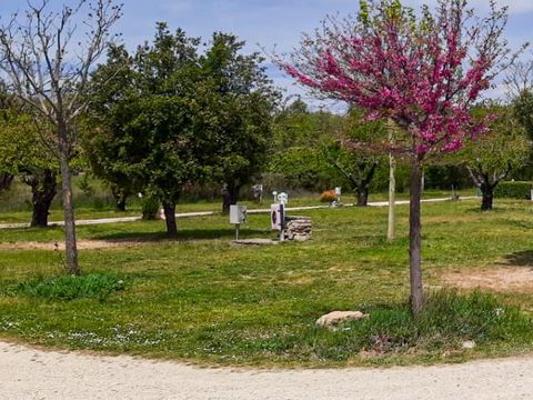 Camping Lubéa - Camping Vaucluse - Image N°6