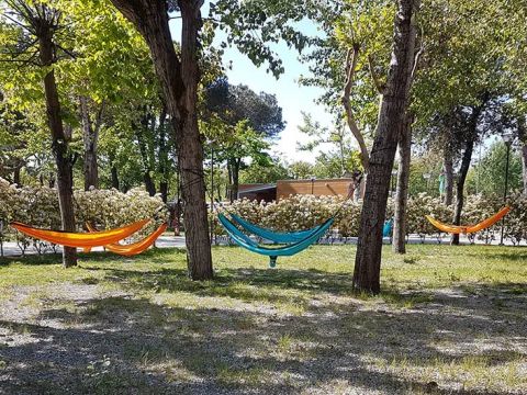 Camping Taimi - Camping Massa-Carrara - Image N°5