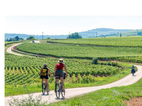 Camping Les Premières Vignes - Camping Cote-Or