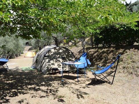 Villaggio Blucamp - Camping Livourne - Image N°21