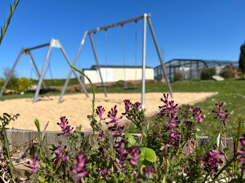 Camping Lizoé - Entre pierres et mer - Camping Finistere - Image N°14