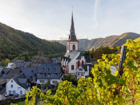 Roompot Ferienresort Cochem - Camping Rhénanie-Palatinat - Image N°3