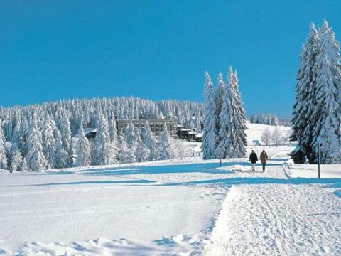 Ferienwohnungen am Feldberg  - Camping Baden-Württemberg - Image N°8