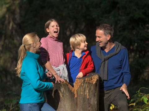 Ferienwohnungen am Feldberg  - Camping Baden-Württemberg - Image N°25