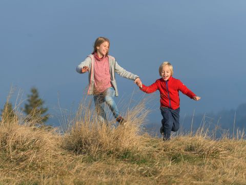 Ferienwohnungen am Feldberg  - Camping Baden-Württemberg - Image N°21