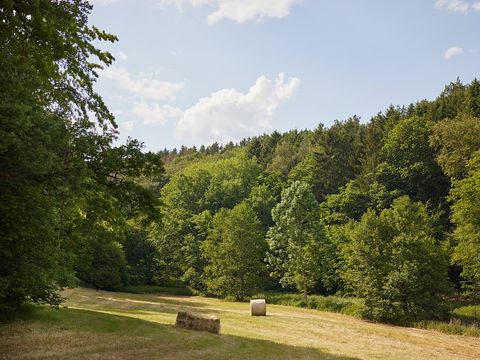 Center Parcs Park Eifel - Camping Rhénanie-Palatinat - Image N°52