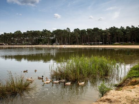 Vodatent Familiepark Goolderheide - Camping Rhénanie du Nord-Westphalie - Image N°20