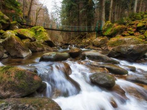 Ferienpark Geyersberg - Camping Bavière - Image N°11