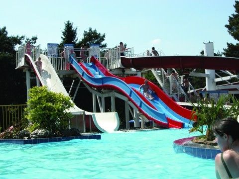 Vakantiecentrum De Lage Kempen - Camping Limbourg Belge - Image N°3