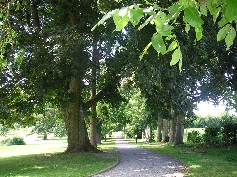 Gîte d'Etape de VillersSteGertrude - Camping Luxembourg - Image N°5