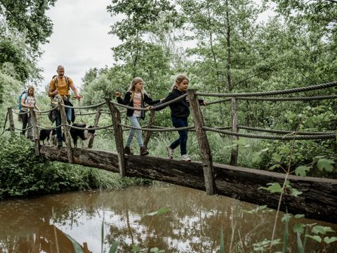 Vodatent Recreatie en Natuurpark Keiheuvel - Camping Anvers - Image N°18