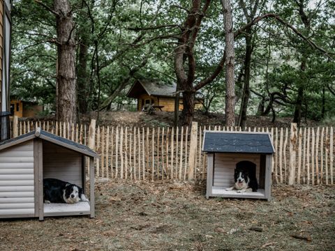 Vodatent Recreatie en Natuurpark Keiheuvel - Camping Anvers - Image N°14