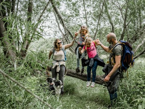 Vodatent Recreatie en Natuurpark Keiheuvel - Camping Anvers - Image N°16