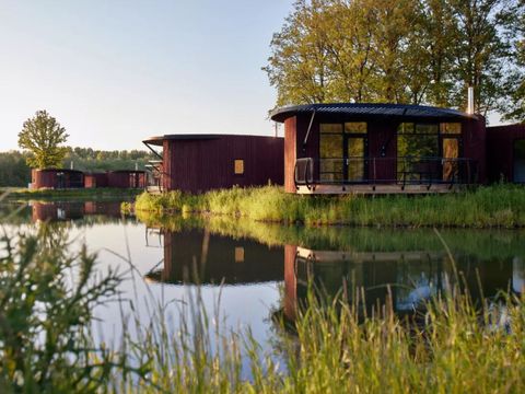 Landal Forest Resort Your Nature  - Camping Hainaut - Image N°20