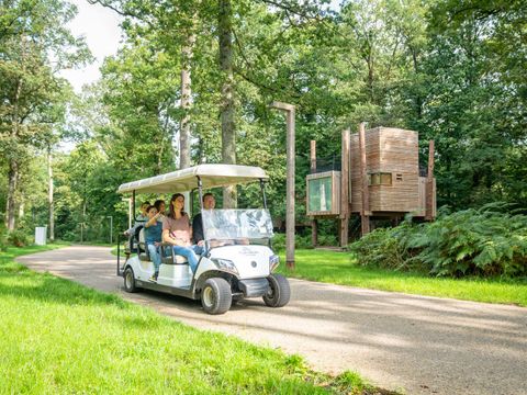 Landal Forest Resort Your Nature  - Camping Hainaut - Image N°21