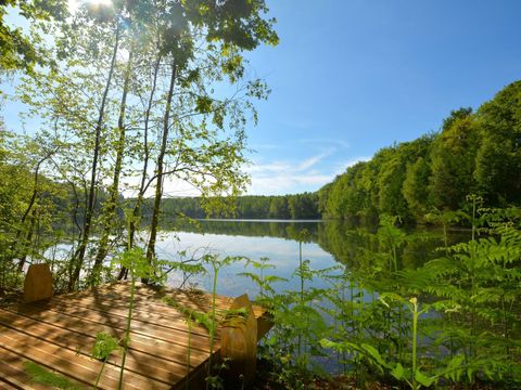 Landal Forest Resort Your Nature  - Camping Hainaut - Image N°4