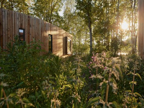 Landal Forest Resort Your Nature  - Camping Hainaut - Image N°30