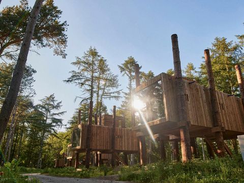 Landal Forest Resort Your Nature  - Camping Hainaut