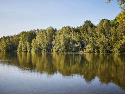 Landal Forest Resort Your Nature  - Camping Hainaut - Image N°17