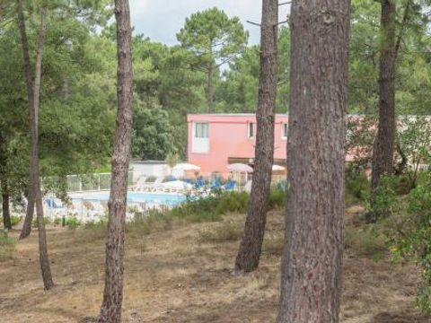 Pierre & Vacances Residence Les Grands Pins - Camping Gironde - Image N°8