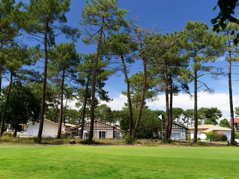 Les Greens du Bassin - Camping Gironde - Image N°42