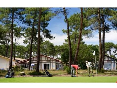 Les Greens du Bassin - Camping Gironde - Image N°12