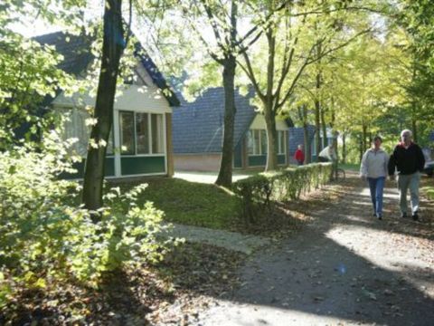 Groenpark Simpelveld - Camping Simpelveld - Afbeelding N°2