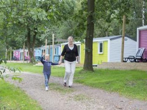 Vakantiepark Het Stoetenslagh - Camping Hardenberg - Image N°3