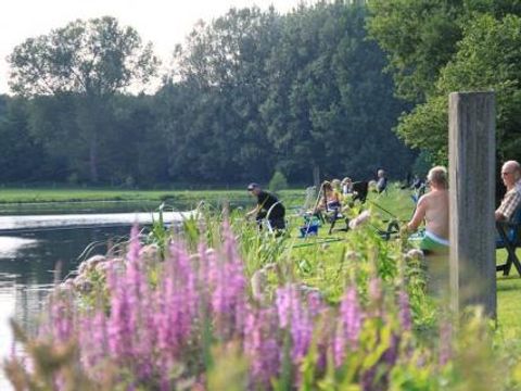 Resort de Arendshorst - Camping Ommen - Image N°14