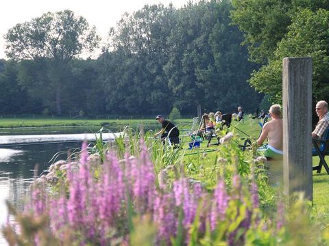 Resort de Arendshorst - Camping Ommen - Image N°15