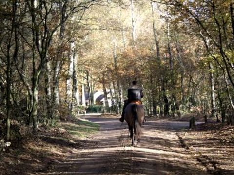 Vrijrijck Vlindervallei - Camping Ermelo - Image N°4