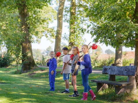 Landrijk de Reesprong - Camping Haaksbergen - Image N°48