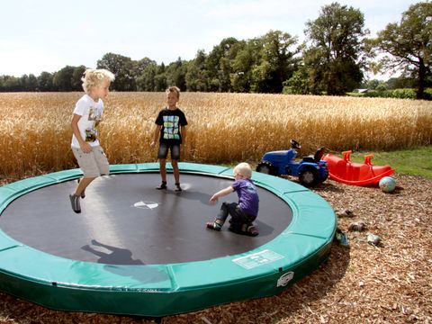 Landrijk de Reesprong - Camping Haaksbergen - Image N°22