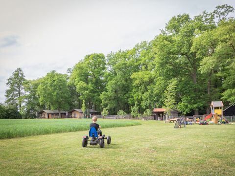 Landrijk de Reesprong - Camping Haaksbergen - Image N°51