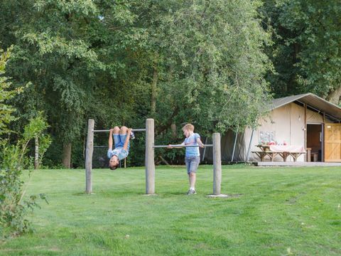 Landrijk de Reesprong - Camping Haaksbergen - Image N°55