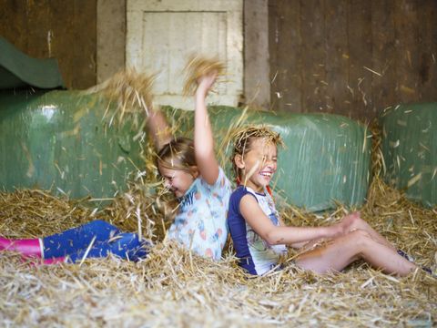 Landrijk de Reesprong - Camping Haaksbergen - Image N°13