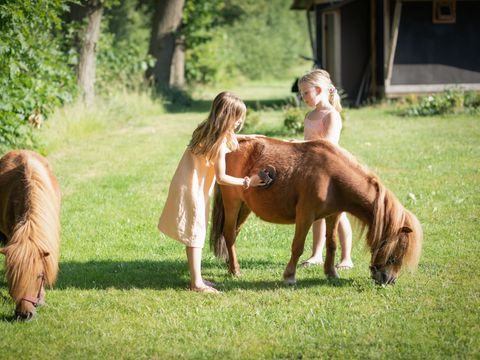 Landrijk de Reesprong - Camping Haaksbergen - Image N°3