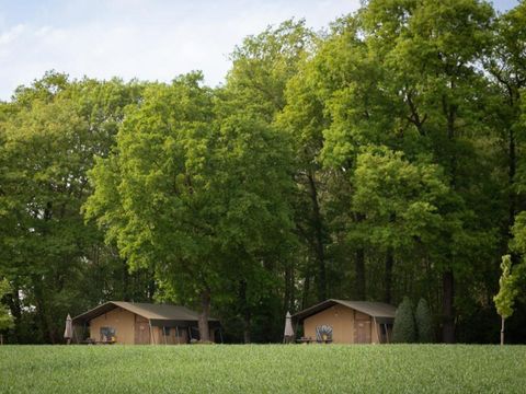 Landrijk de Reesprong - Camping Haaksbergen - Image N°43