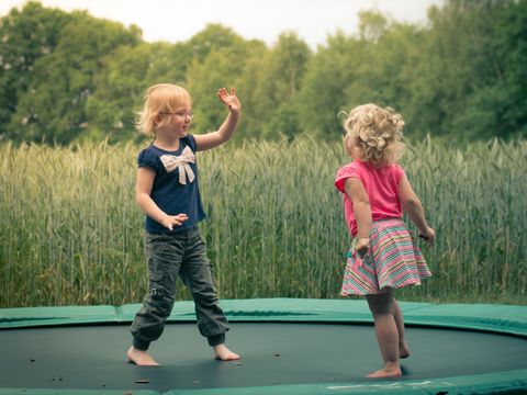 Landrijk de Reesprong - Camping Haaksbergen - Image N°49