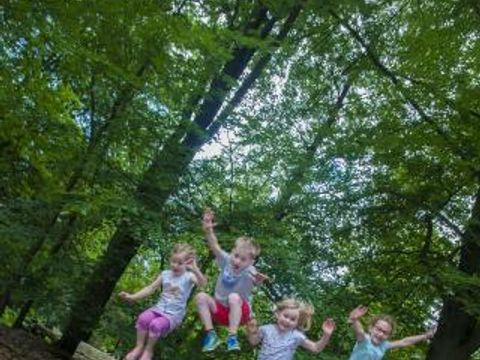 Vakantiecentrum Maarnse Berg - Camping Utrecht - Image N°5