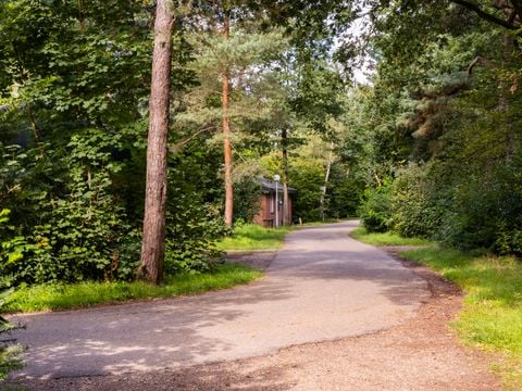 Summio Parc Heihaas - Camping Ermelo