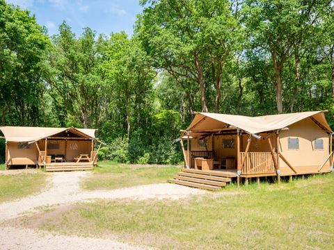 Landal Gooise Heide - Camping Huizen - Image N°92