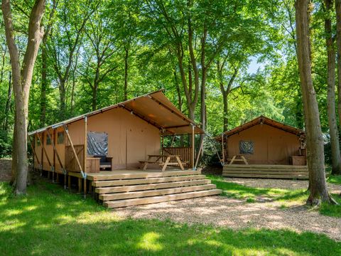 Landal Gooise Heide - Camping Huizen - Image N°72