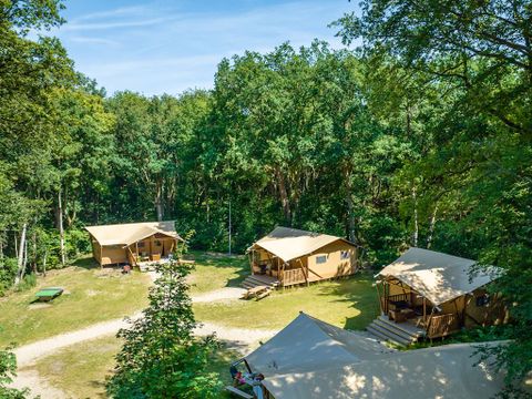 Landal Gooise Heide - Camping Huizen - Image N°2