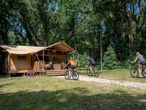 Landal Gooise Heide - Camping Huizen - Image N°17