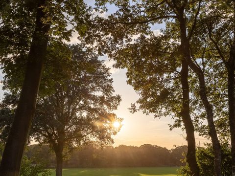 Zicht op Twente - Camping Hof von Twente - Image N°20