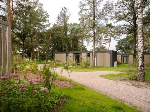 Zicht op Twente - Camping Hof von Twente - Image N°21