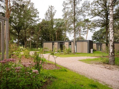 Zicht op Twente - Camping Hof Van Twente - Image N°22