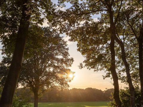 Zicht op Twente - Camping Hof Van Twente - Image N°13